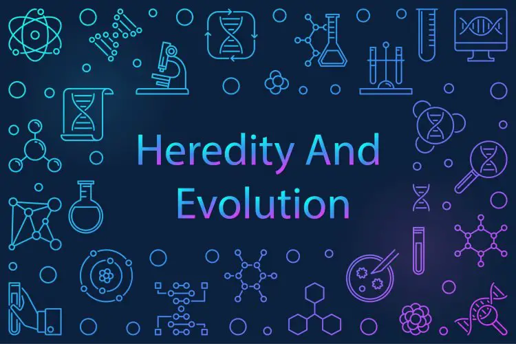 Heredity And Evolution